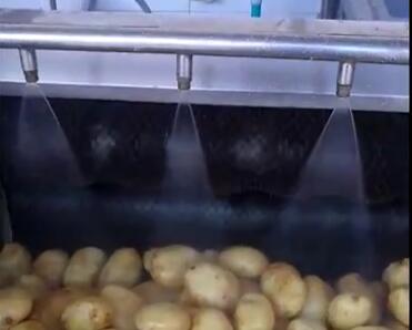 根茎类全自动洗菜机-金沙集团186cc成色萝卜土豆洗菜机
